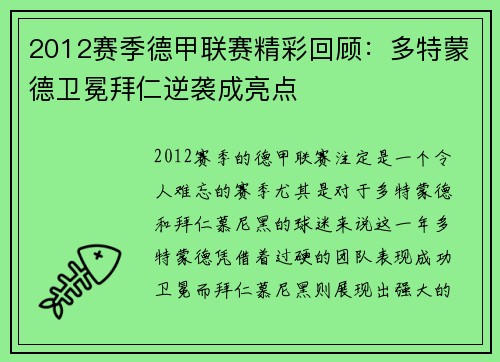 2012赛季德甲联赛精彩回顾：多特蒙德卫冕拜仁逆袭成亮点